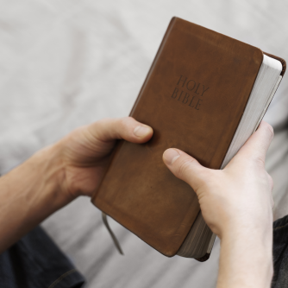 Picture of Bible